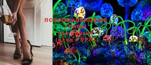 гидропоника Аркадак